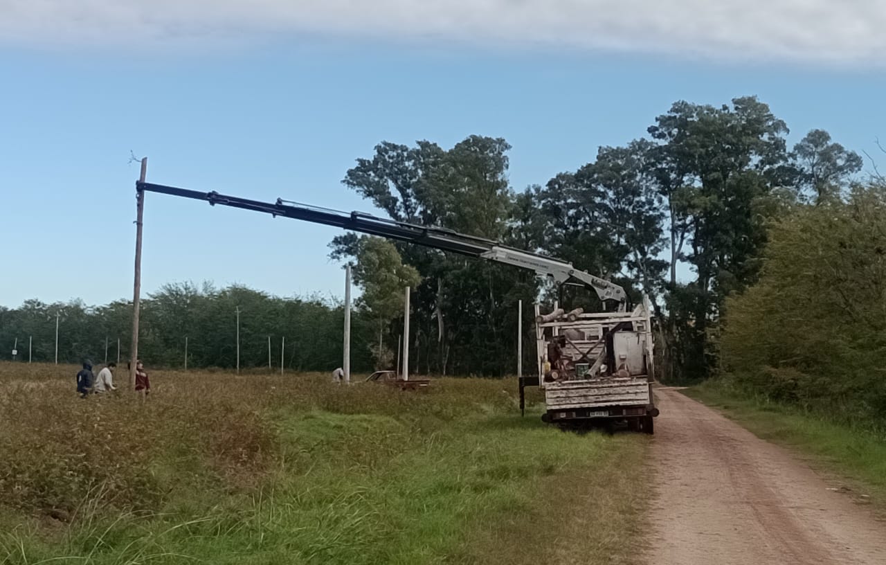 Línea de postes recién instalados en un loteo